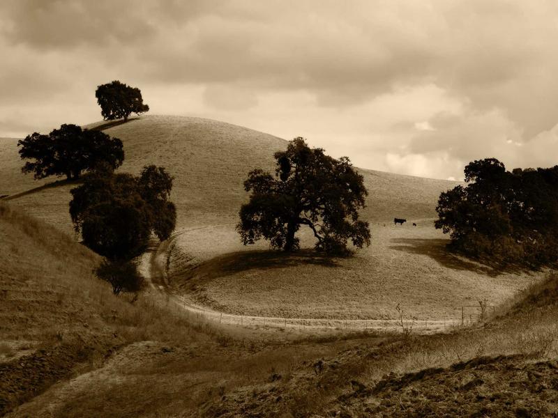 sudoku landscape mode screenshot 3